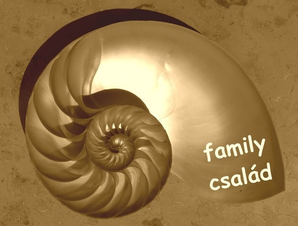 csalad-family-sz